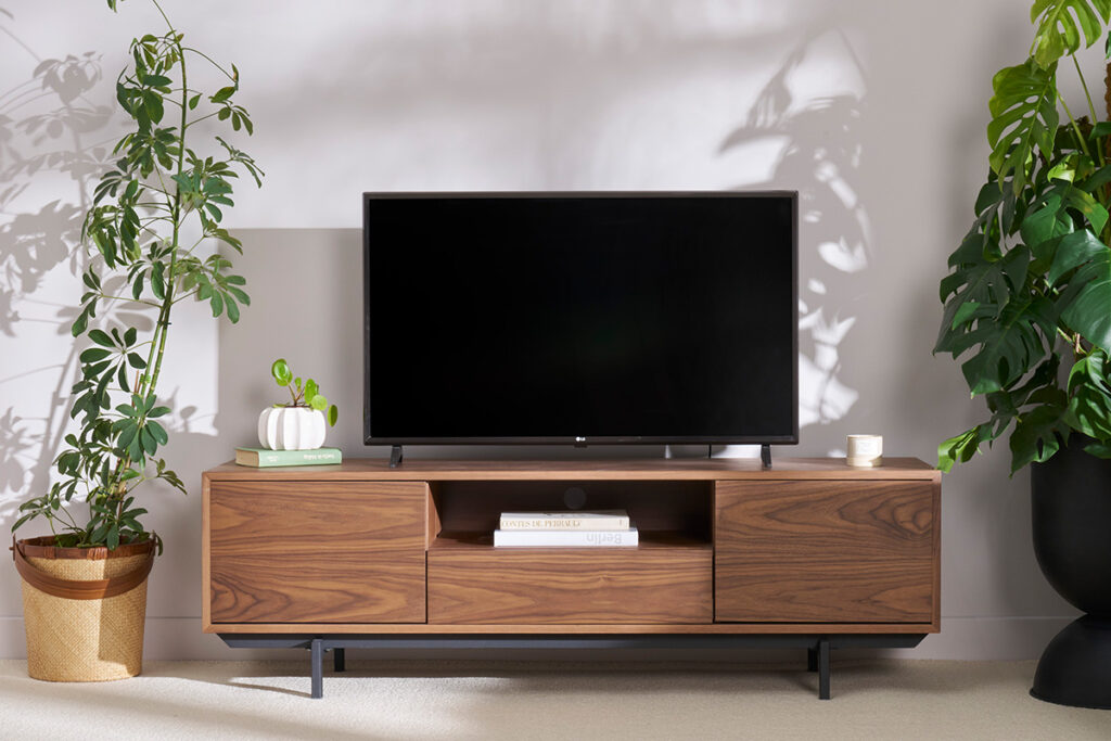 meuble tv entouré de plantes