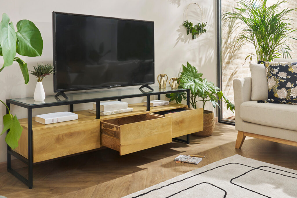 meuble tv déco avec plantes