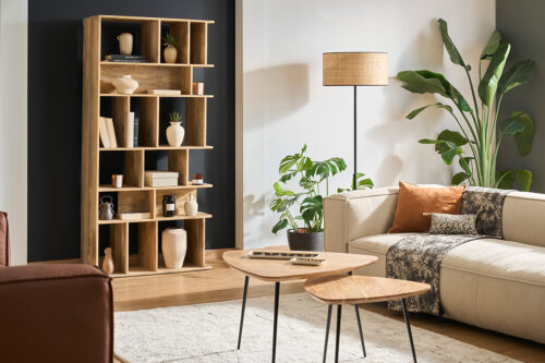 salon chaleureux bois et tissu